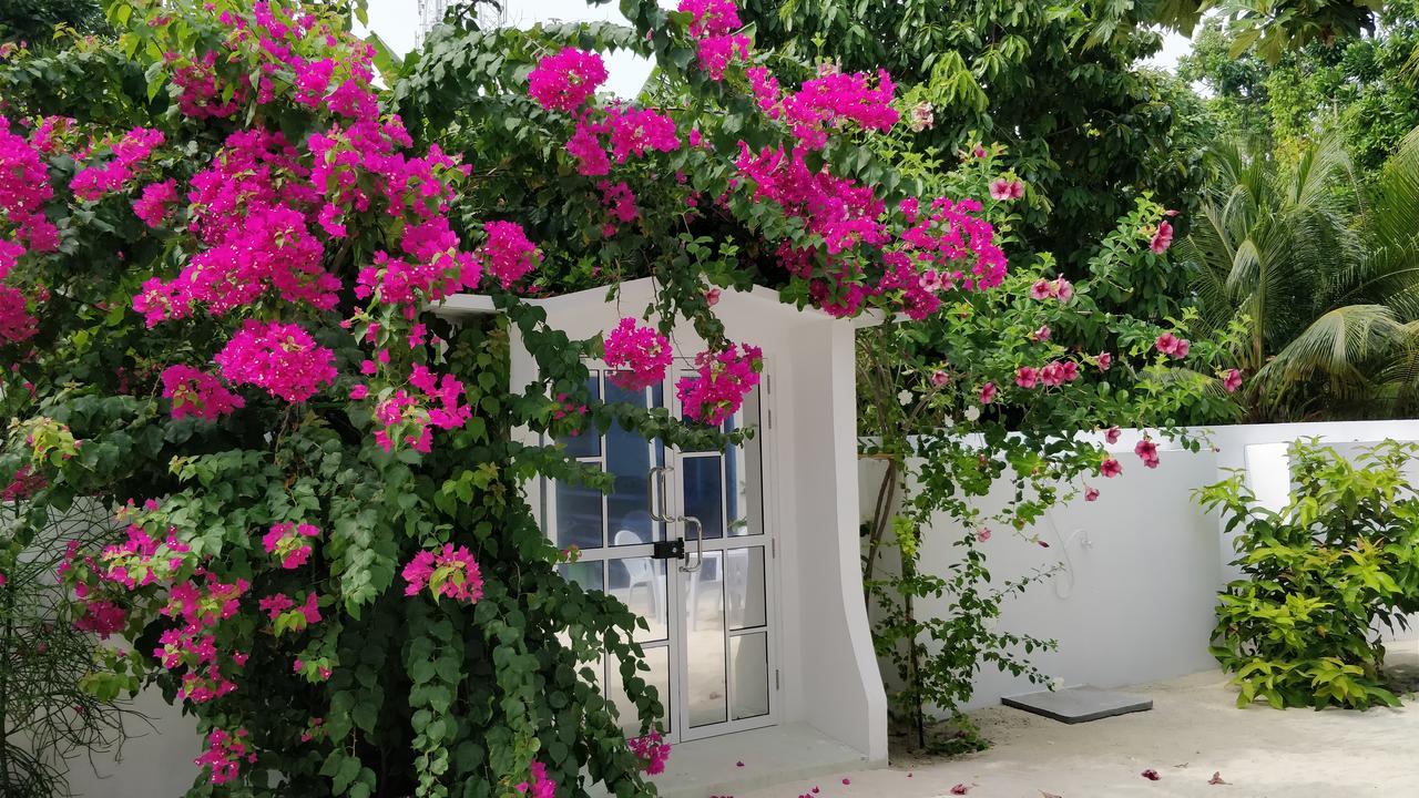 Athiriveli Hotel Thoddoo Exterior foto