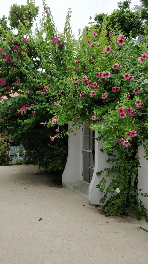 Athiriveli Hotel Thoddoo Exterior foto