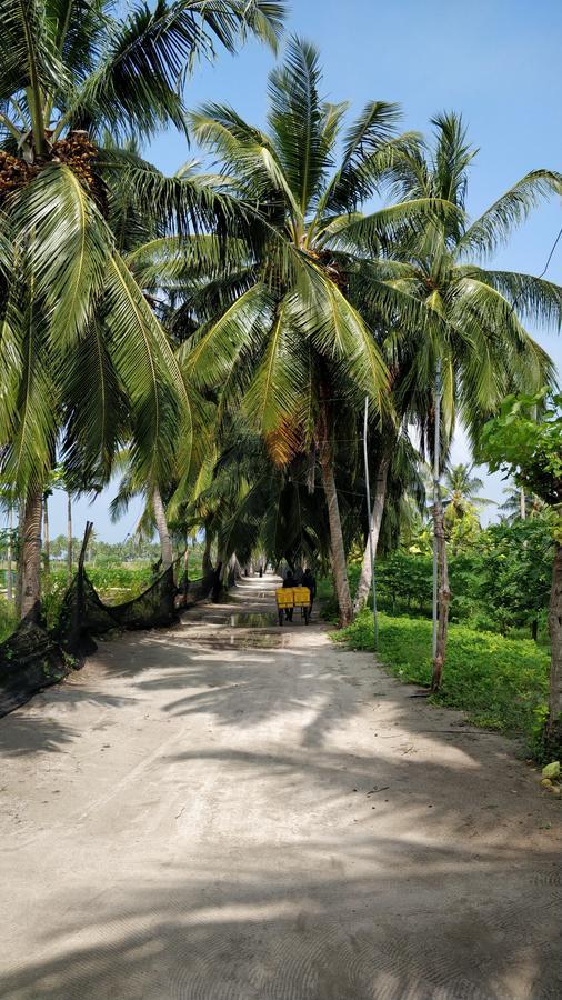 Athiriveli Hotel Thoddoo Exterior foto